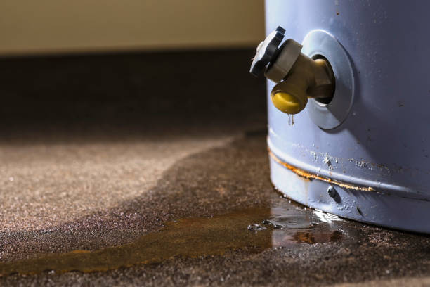 Best Water damage mitigation services  in St Louis, MO