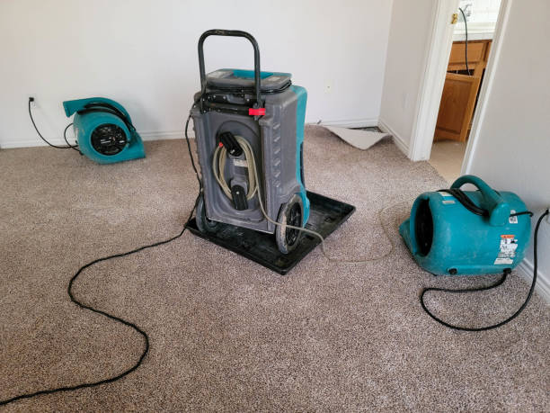 Best Water damage restoration near me  in St Louis, MO