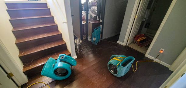 Best Flood damage cleanup  in St Louis, MO