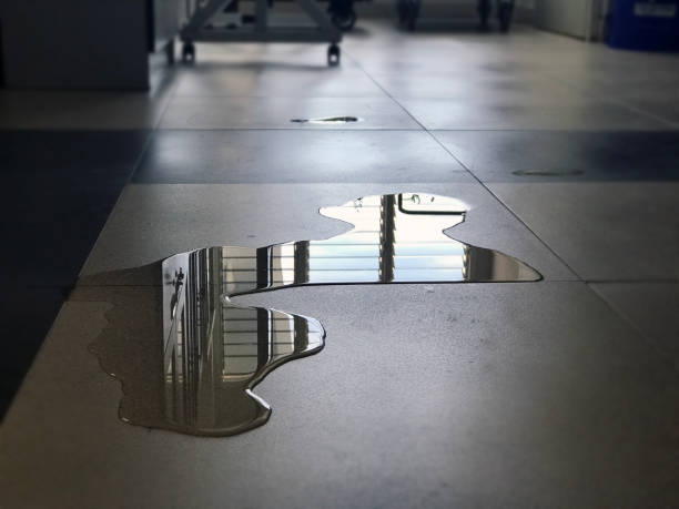 Best 24-hour water damage restoration  in St Louis, MO