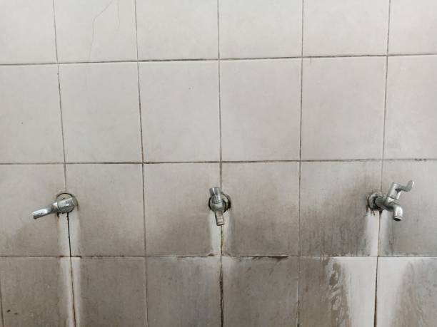 Best Water damage restoration cost  in St Louis, MO