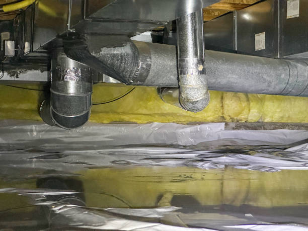 Best Local water damage restoration  in St Louis, MO