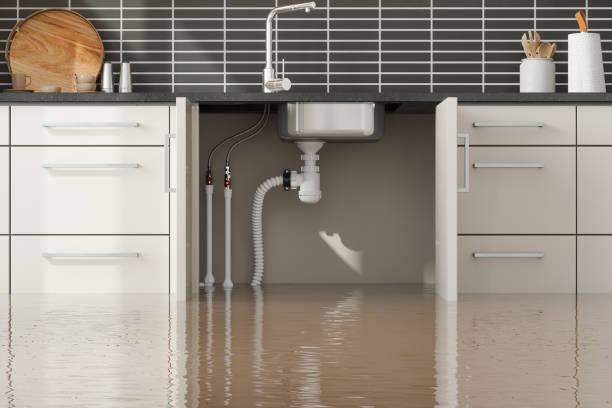 Best Residential water damage restoration  in St Louis, MO