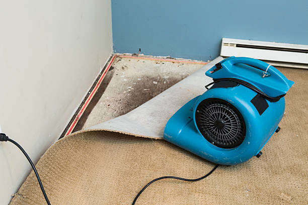 Best Fire Damage Restoration  in St Louis, MO